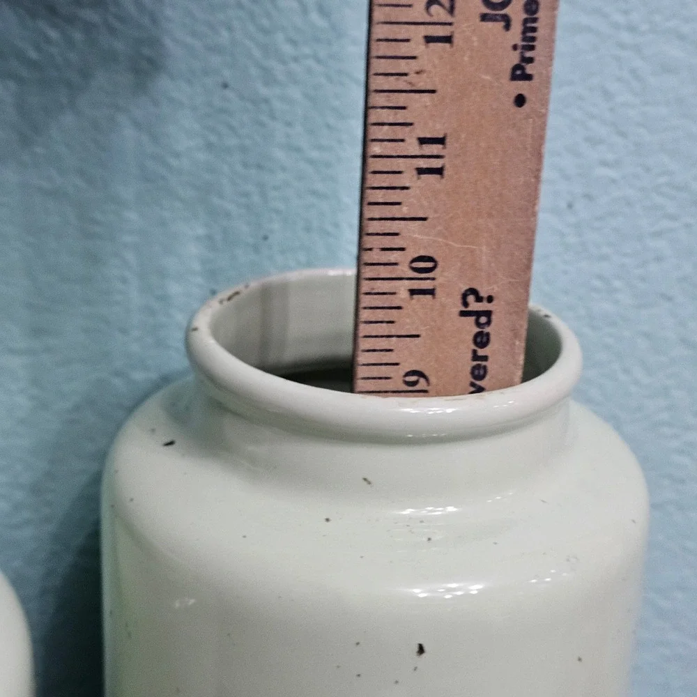 Pier 1 Imports Mint Green Speckled Ceramic Canister Set Wood Lids Farmhouse